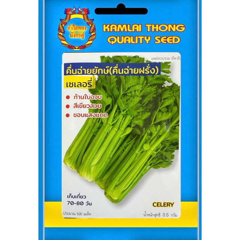 เมล็ดคึ่นฉ่ายยักษ์ คึ่นฉ่ายฝรั่ง เซเลอรี่ (CELERY)
