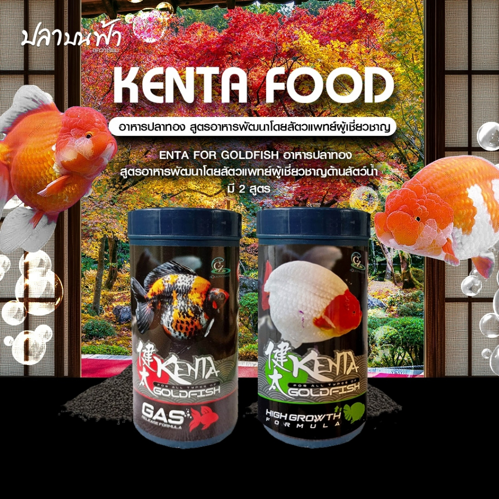 อาหารปลาทอง Kenta (เคนตะ) สูตรขับลม เม็ดจม ลดอาการเสียการทรงตัว หงายท้อง หลังลอย แข็งแรงไม่เป็นโรคง่