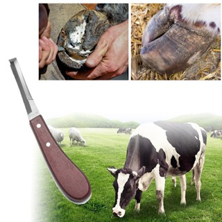 ส่งเร็ว มีดแต่งกีบเท้าวัว แพะ แพะ ดีต่อสุขภาพสัตว์ ป้องกันติ…