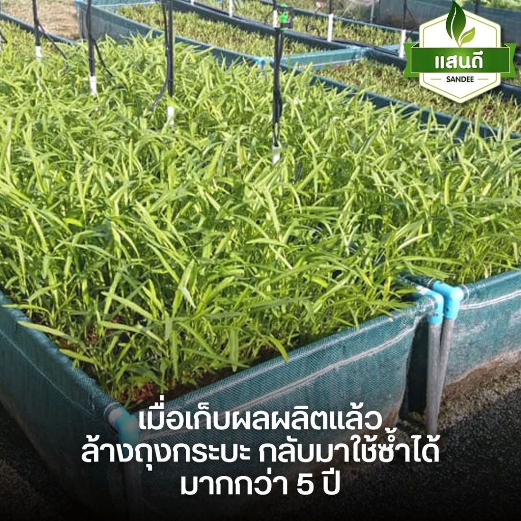 【พร้อมส่ง】กะบะปลูกผัก​ตราแสนดี (พร้อมโครง/ไม่รวมโครง)​ขนาด​ 60x200x30 cm แปลงผักเพาะปลูกผัก - รูปที่ 2