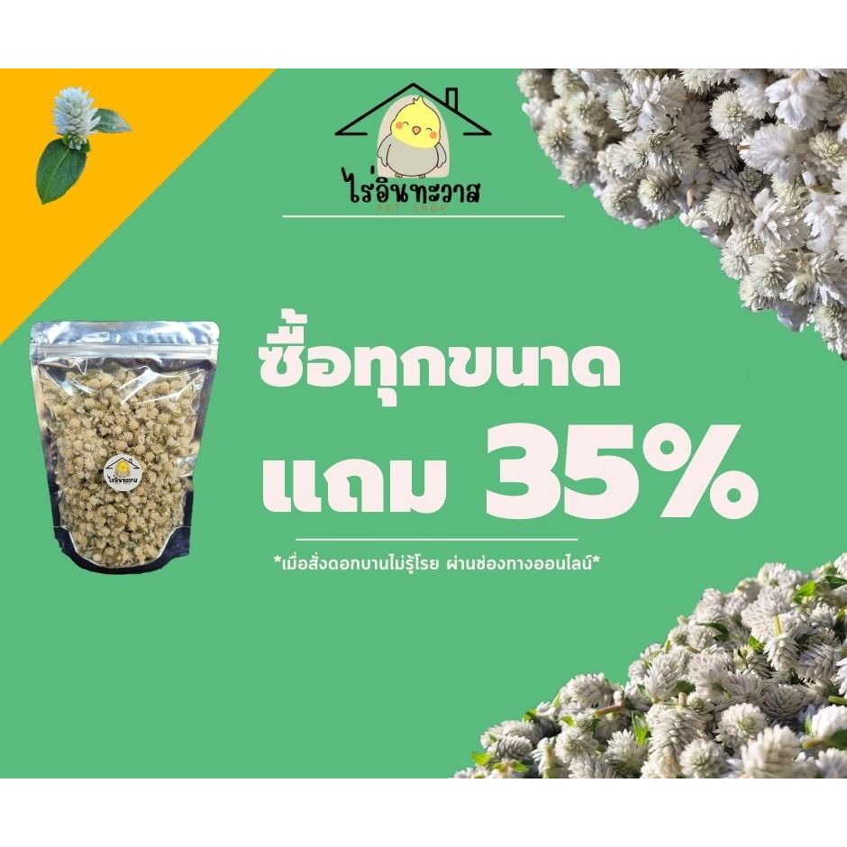 ดอกบาน ไม่รู้โรยป่า อบแห้ง ขนาด 100/50/40g แถม 35%