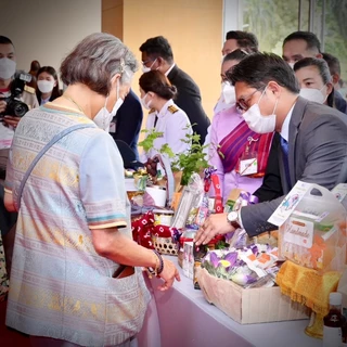 ท้องอืด แพ้นมวัว-นมเม็ดมะม่วงหิมพานต์เผาเจ้าแรกไฮแคลเซียม ไม่มีนมวัว มังสวิรัติ แทนนมอัลมอนด์ นมพิตาชิโอ นมโอ๊ต- Cassius