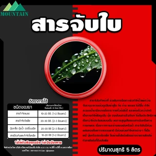 G-force และ Mountain สารจับใบเข้มข้นชนิดพิเศษ ขนาด 5 ลิตร ช่วยในการยึดเกาะพื้นผิว ทำให้น้ำยาแผ่กว้าง ดูดซึมได้ดี