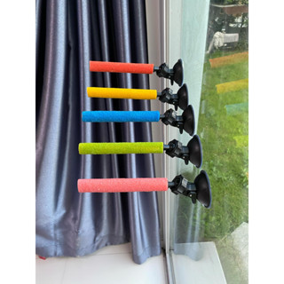 คอนยืน คอนลับเล็บติดกระจก คอนติดกระจก  ไม้สำหรับนกเกาะ เคลื่…