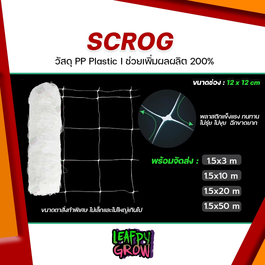 ใหม่! Scrog Net ตาข่ายปลูกต้นไม้ PP Plastic ขนาดช่อง 12x12 cm ช่วยเพิ่มผลผลิต Trellis Net ตาข่ายเทรนนิ่ง ตาข่าย Plastic