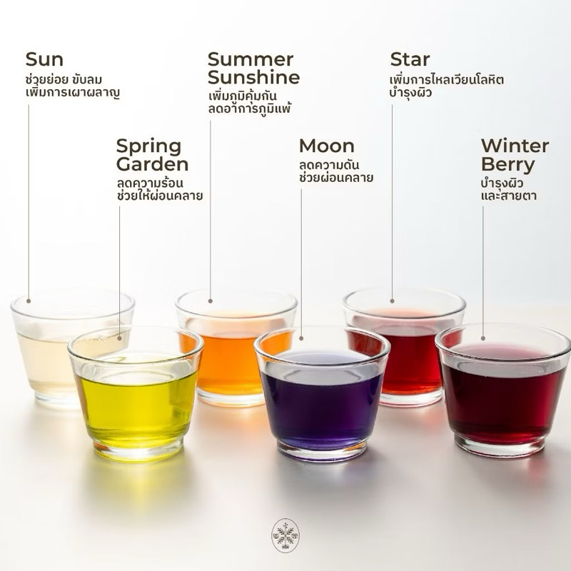 ชาไม่มีคาเฟอีน 100% ธรรมชาติ Herbal Tea by Plantogenic ราคา ถูกที่สุด ดีลบีเคเค แกลเลอรีภาพที่ 2