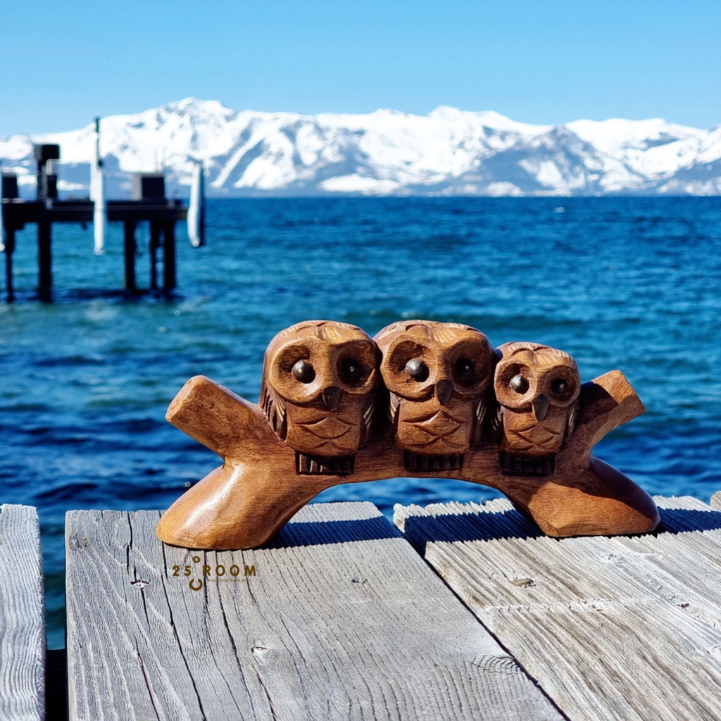 25C Room นกฮูกแกะสลัก: นกฮุก 3 พี่น้อง