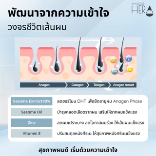 [แพ็ค 2 กระปุก] Magicus Hera(มาจิคัส เฮร่า) เพื่อผู้มีปัญหาผมร่วง ผมบาง ศีรษะล้าน