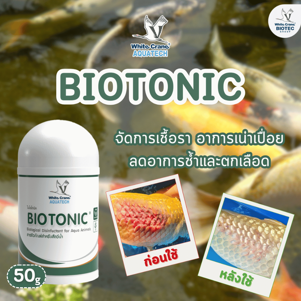 BioTonic ไบโอโทนิค ผลิตภัณฑ์สำหรับจัดการอาการที่เกิดจากเชื้อราและอาการเน่าเปื่อย ขนาด 50 กรัม
