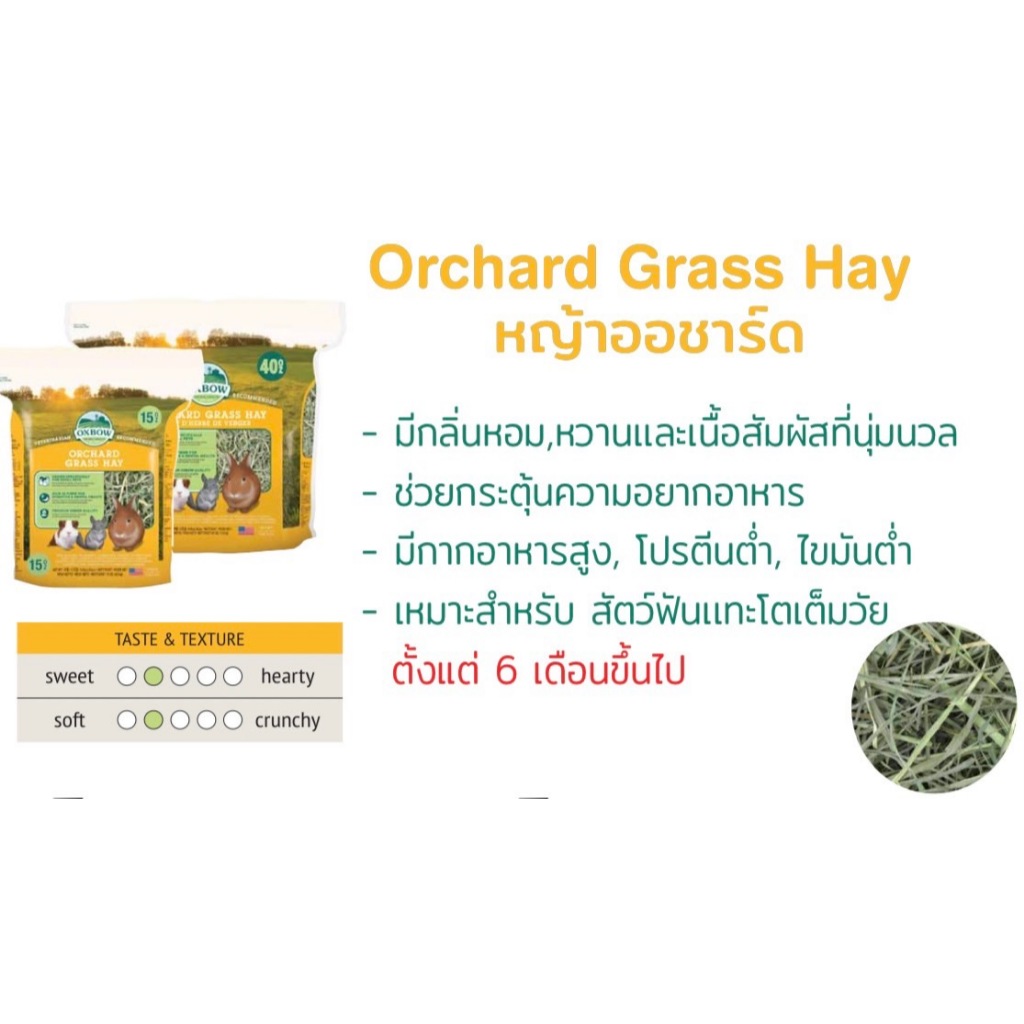 OXBOW ORCHARD GRASS หญ้าออชาร์ด