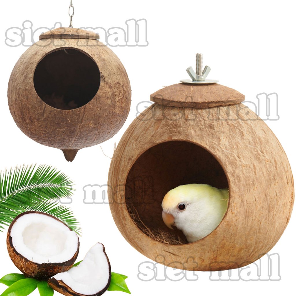 บ้านนก รังนก บ้านนกแบบแขวน กะลา บ้านเพาะนก บ้านเปลือกหอยนกแก้วฟินซ์ เลิฟเบิร์ด กรีนชีค ฟอพัส หงส์หยก