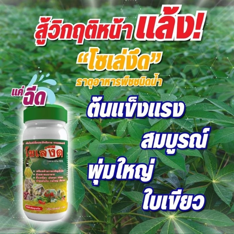 โซเล่งึดขนาด250มล.1ขวด อาหารพืชทางลัดให้ปุ๋ยที่ดีกับพืชง่ายๆ