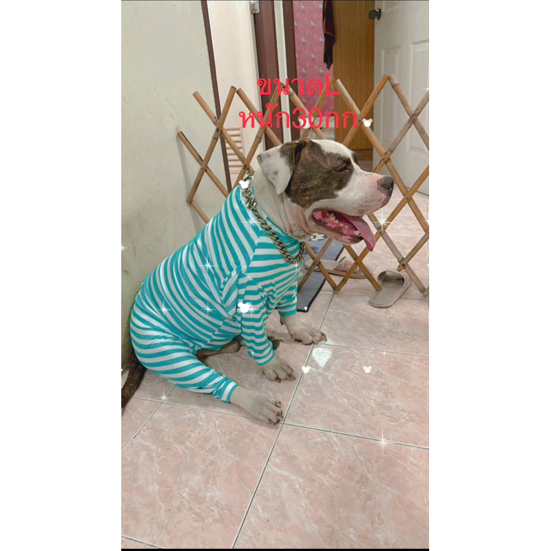 รูปภาพ 5