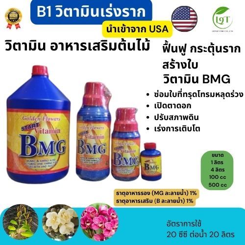 B1 วิตามินเร่งราก น้ำยานำเข้าจาก USA วิตามิน BMG   ฟื้นฟู กระตุ้นราก สร้างใบ