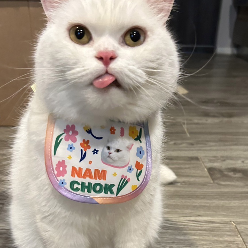 Customized-BIB-ผ้าผูกคอหมาแมว>>>>สามารถเปลี่ยนรูปและข้อความได้**ส่งรูปมาทาง INBOX ได้เลย