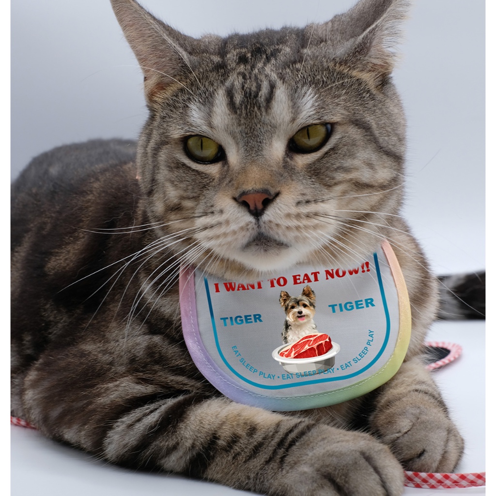 Customized-BIB-ผ้าผูกคอหมาแมว>>>>สามารถเปลี่ยนรูปและข้อความได้**ส่งรูปมาทาง INBOX ได้เลย