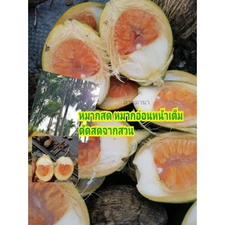 หมากสดหมากอ่อน​ เลือกหน้าที่ชอบ​ อ่อนหน้าเต็ม​/ ร่องน้ำ​ /หน้าเหนียว​