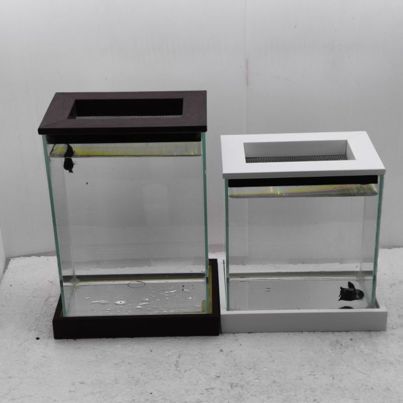 โหลปลามีฝา-ฐาน โหลปลากัด ขนาด 4x6 นิ้ว กระจกหนา 3 มิล