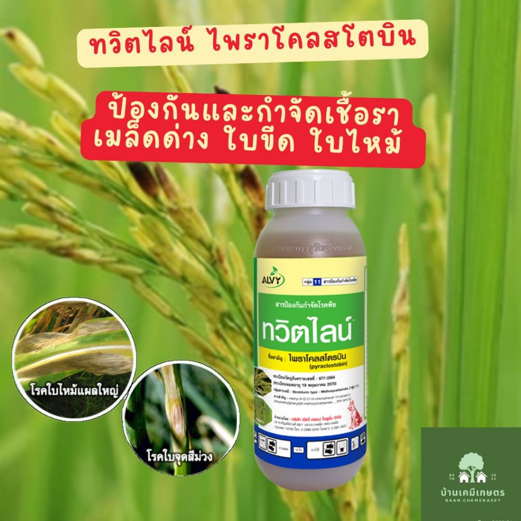 ทวิตไลน์ ไพราโคสโตบิน ขนาด 500 :ซีซี ตราหมาแดง กำจัดเชื้อรา