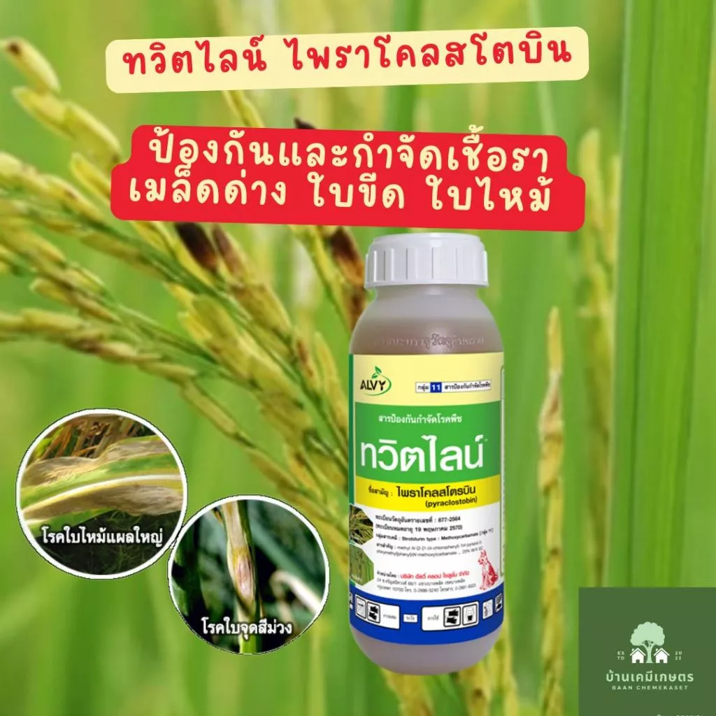 ทวิตไลน์ ไพราโคสโตบิน ขนาด 500 :ซีซี ตราหมาแดง กำจัดเชื้อรา
