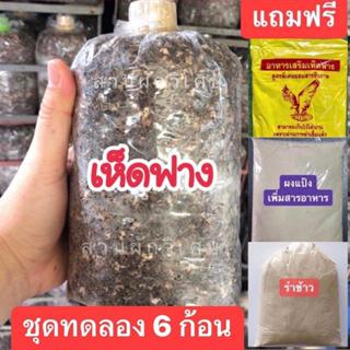 ก้อนเชื้อเห็ดฟาง6ก้อน(ฟรีของแถม2ชุด)