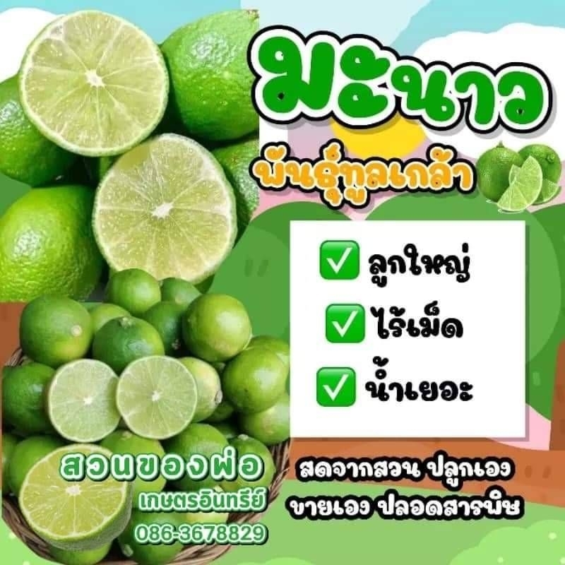 มะนาวทูลเกล้าไร้เมล็ดกิโลกรัมละ32#ชั่งนน.เต็มกิโลไม่รวมกล่องนะคะ