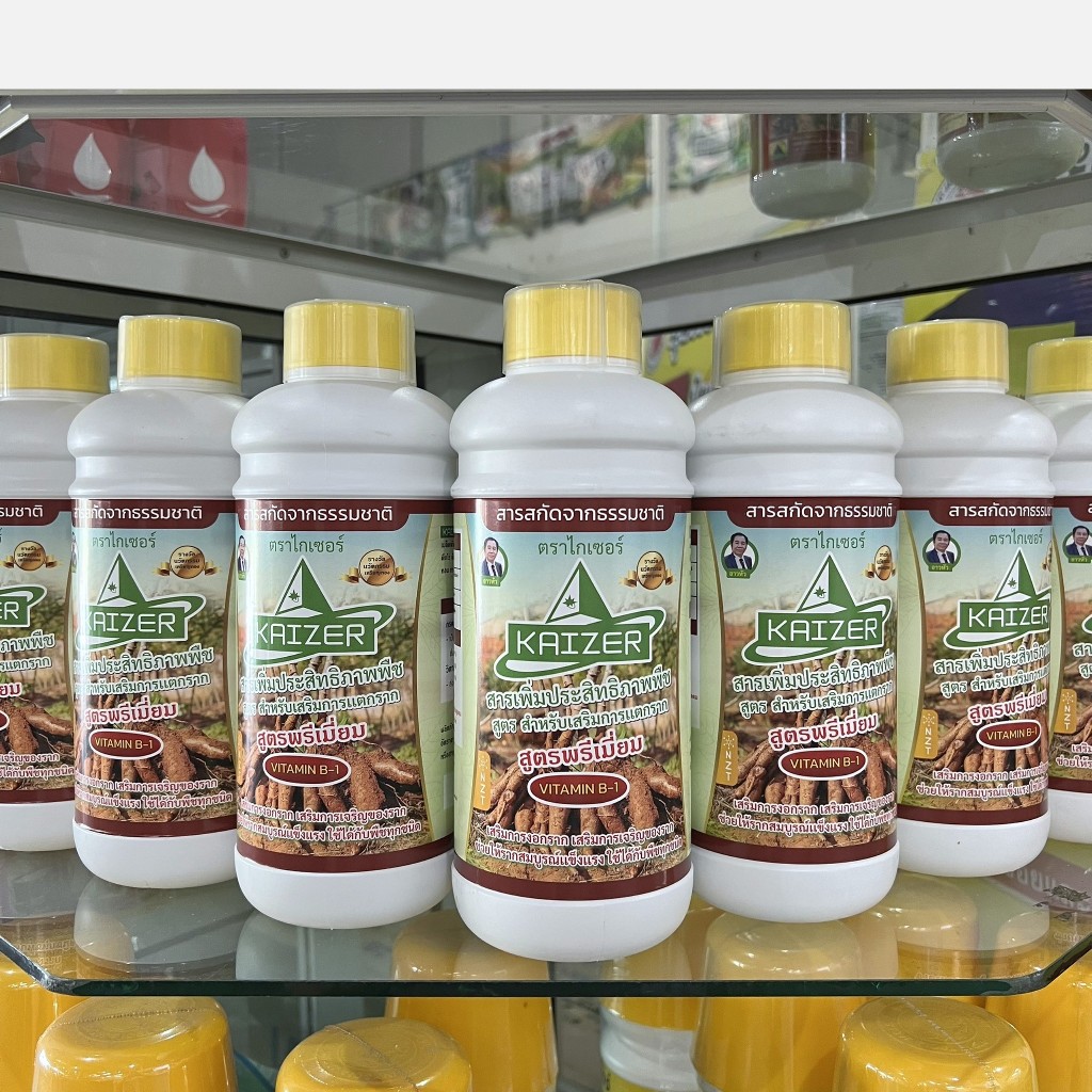 ไกเซอร์ น้ำยาเร่งราก แช่ท่อนพันธุ์ ท่อนมันสัมปะหลัง วิตามิน B1 ช่วยในการแตกราก + นวัตกรรม NZT ดูดซึมเร็ว ขนาด 1 ลิตร