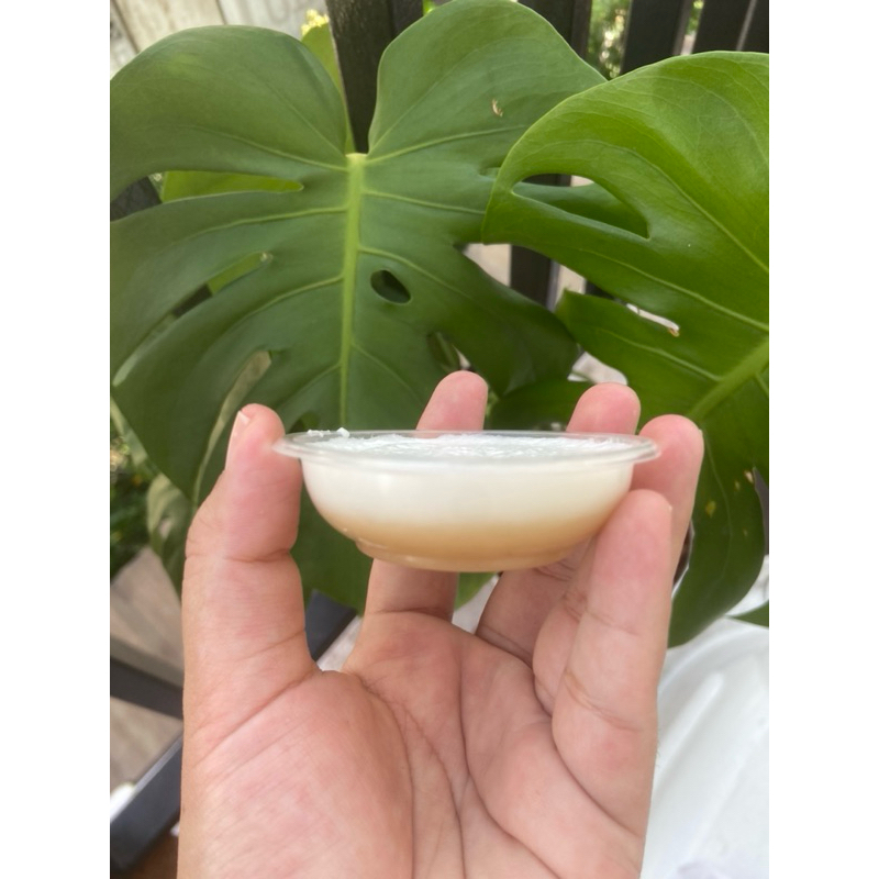 ถ้วยตะไลพลาสติกนึ่งได้ | 100 ชิ้น