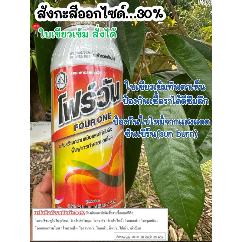 โฟร์วัน สังกะสีออกไซด์1ลิตร ได้ทั้งเชื้อราได้ทั้งอาหารเสริมอนุภาคซิงค์ในขวดเดียว เร่งใบเขียวแบบด่วน ใช้สำหรับพืชเท่านั้น
