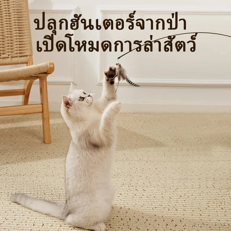 ของเล่นแมว ไม้ตกแมว ไม้ตกแมวแบบสปริง ไม้แมวตั้งพื้นขนนก ไม้ล่อแมว ไม้แหย่แมว