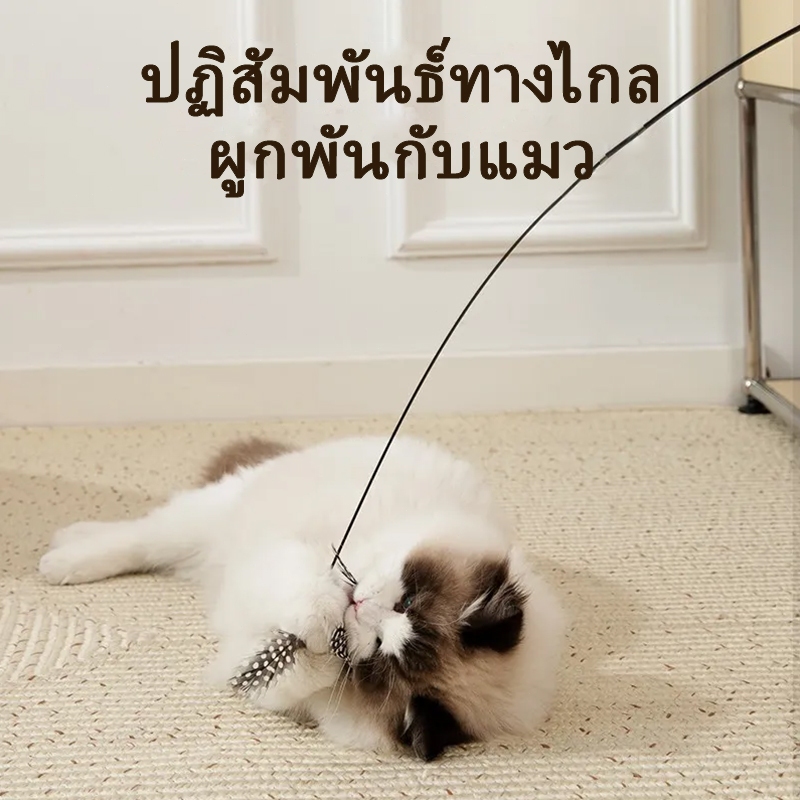 ของเล่นแมว ไม้ตกแมว ไม้ตกแมวแบบสปริง ไม้แมวตั้งพื้นขนนก ไม้ล่อแมว ไม้แหย่แมว
