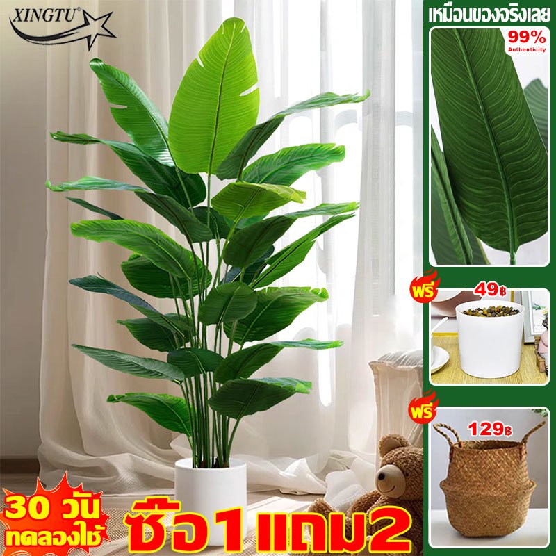 ซื้อ1แถม2 XINGTU ต้นไม้ปลอม ความจำลอง 99.9% ไม้มงคล95cm/24ใบ กระถาง+แถมฟรีหิน ตกแต่งบ้าน ต้นไม้พลาสติก