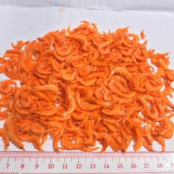 กุ้งฝอย กุ้งแห้งตัวเล็ก ใหม่ สะอาด