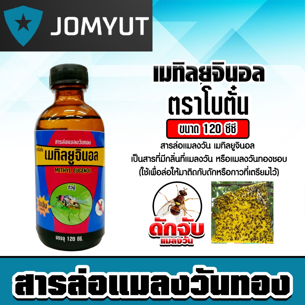 สเปร์ยล่อแมลงวันทอง / เมทิลยูจินอล / อุปกรณ์ดักแมลงวันทอง สารล่อแมลงวัน ล่อแมลงวันทอง ดักจับ น้ำหอมล่อแมลงวันทอง