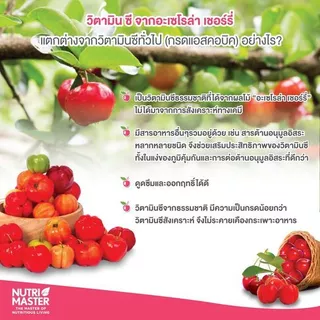 Nutrimaster Acerola Vit C - วิตามินซีจากธรรมชาติ สารสกัดจากอะเซโรล่า เชอร์รี่ 500 มก. (30 แคปซูล / ขวด)