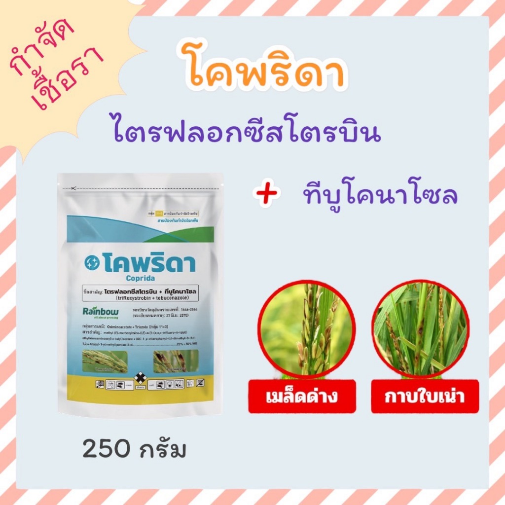 กดซื้อผ่านvideo ลด 30% โคพริดา (สารตัวเดียวกับนาติโว) - ป้องกันกำจัดเชื้อราเมล็ดด่าง โรคไหม้คอร่วง ราดอกกระถิ่น