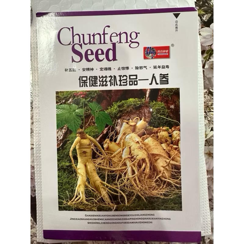 เมล็ดพันธุ์ โสมคน โสมเกาหลี ( Ginseng , Asian ginseng Seed ) บรรจุ 50 เมล็ด