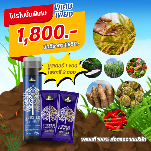 4tree (โฟร์ทรี) + Booster (บูสเตอร์) 1 ชุด ใช้ได้กับพืชทุกชนิด