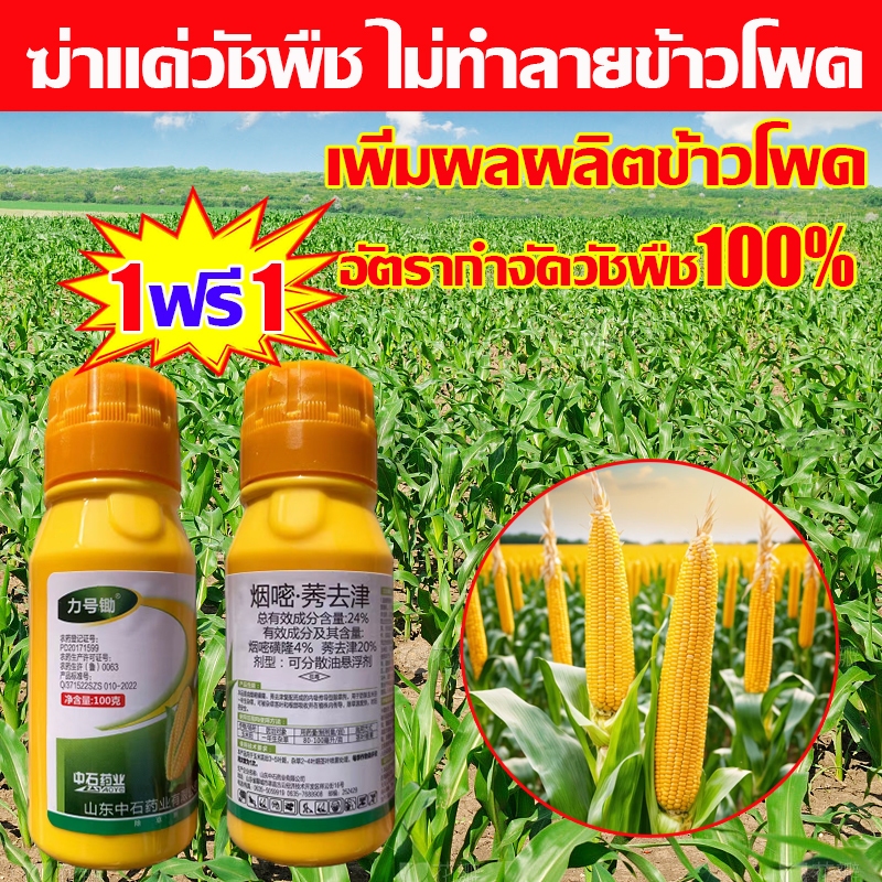 ซื้อ1แถม1 ยาฆ่าหญ้าในข้าวโพด ซื้อ1แถม1 ฆ่าหญ้ารอบข้าวโพด วัชพืชหายหมด ทุ่งข้าวโพดไม่มีวัชพืช100ปี 100ml