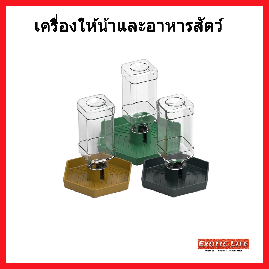 NomoyPet เครื่องให้น้ำและอาหารสัตว์เลี้ยงพร้อมขวดใสมี3สีและ2ขนาดให้เลือก