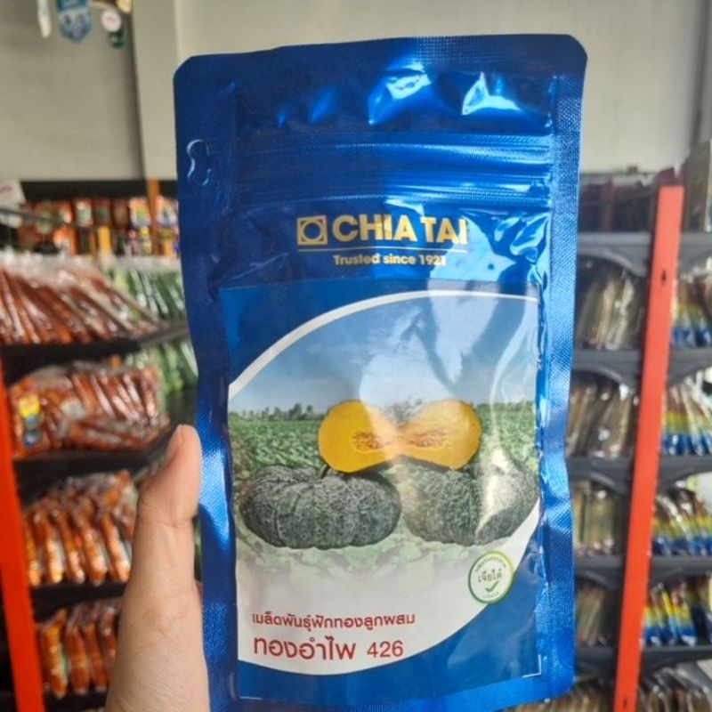 เมล็ดพันธุ์ฟักทองทองอำไพ 426