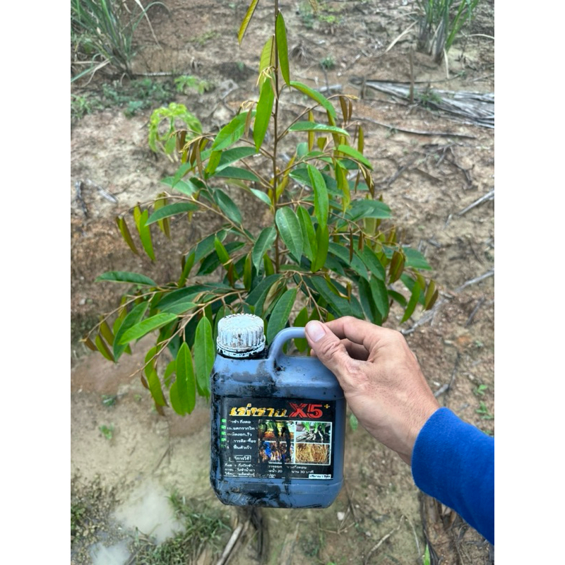น้ำยาเร่งราก 1ลิตร รากแข็งแรงต้นสมบูรณ์