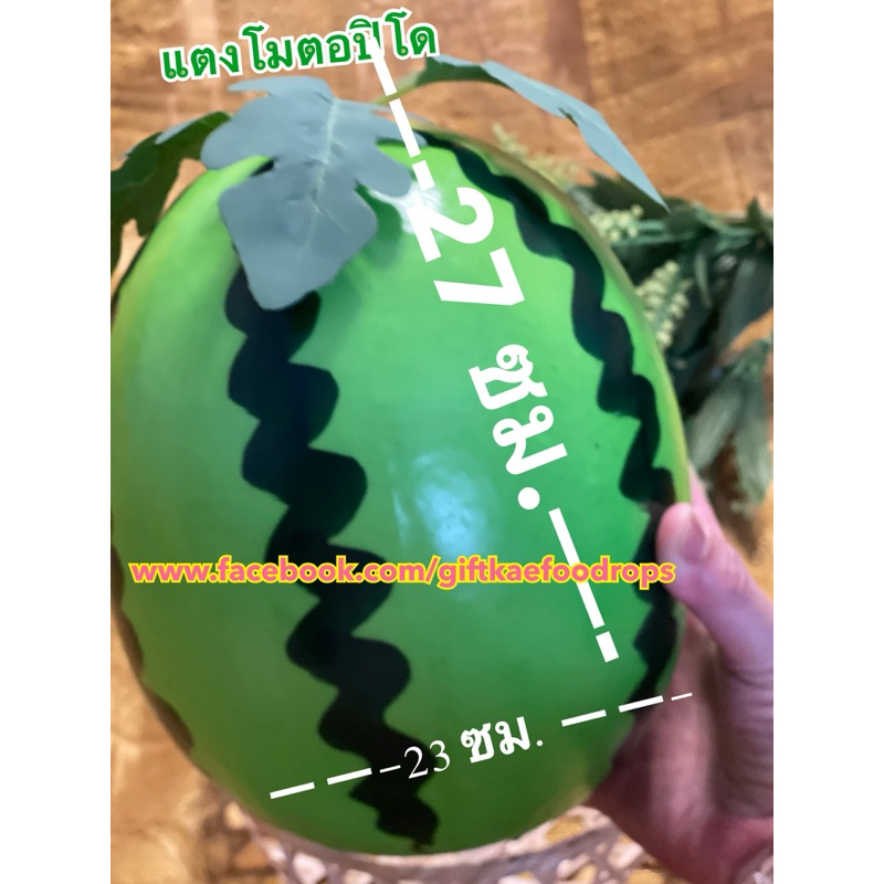 โมเดลแตงโม แตงโมปลอม (ลูกใหญ่จ้า)โมเดลผักผลไม้