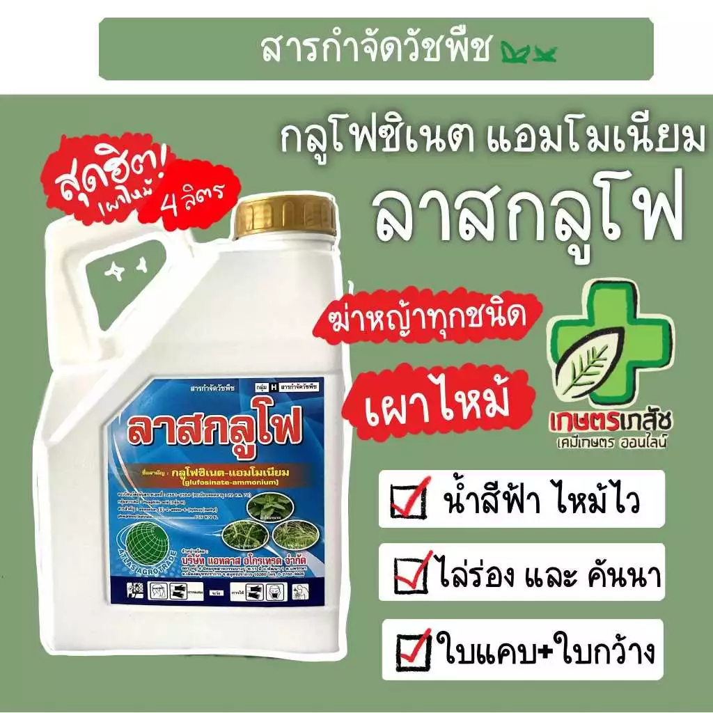 ส่งไว! กลูโฟซิเนต แอมโมเนียม ลาสกลูโฟ 4 ลิตร เผาไหม้ กำจัดหญ้า