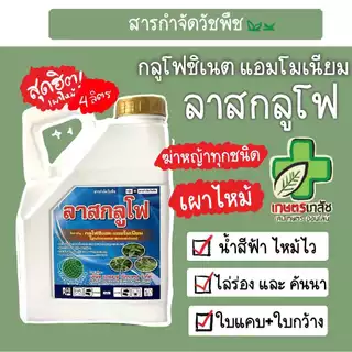 ส่งไว! กลูโฟซิเนต แอมโมเนียม ลาสกลูโฟ 4 ลิตร เผาไหม้ กำจัดหญ้า