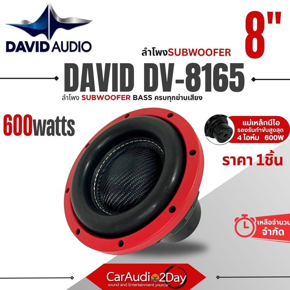 DAVID AUDIO DV8165 ลำโพง ดอกซับ ซับวูฟเฟอร์ 8นิ้ว โครงเหล็กหล่อ วอยซ์คู่ ซับ8นิ้ว  แม่เหล็กนีโอ2ชั้น