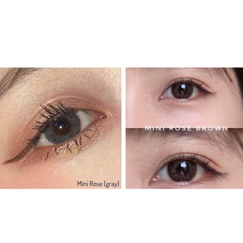 mini rose gray / brown คอนแทคเลนส์สุดฮิต kitty kawaii💖 คอนแทคเลนส์พร้อมส่ง