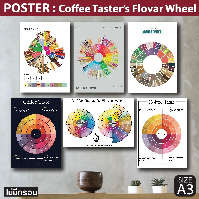 โปสเตอร์กาแฟ Coffee Taster's Flavor Wheel Poster แผนภูมิที่บรรยายรสชาติและกลิ่นของกาแฟ แต่งร้านกาแฟ