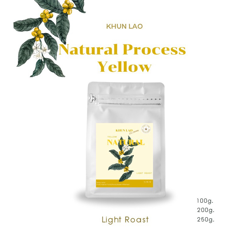 Arabica Yellow Natural (คั่วอ่อน)