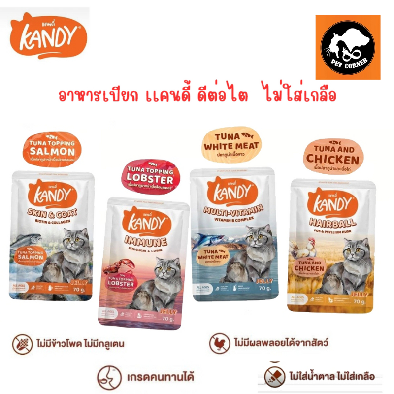 Kandy แคนดี้ อาหารเปียกแมว ไม่ใส่เกลือ ผลิตจากปลาเนื้อขาว ขนาด 70 กรัม